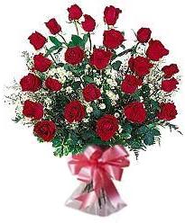 24 red roses